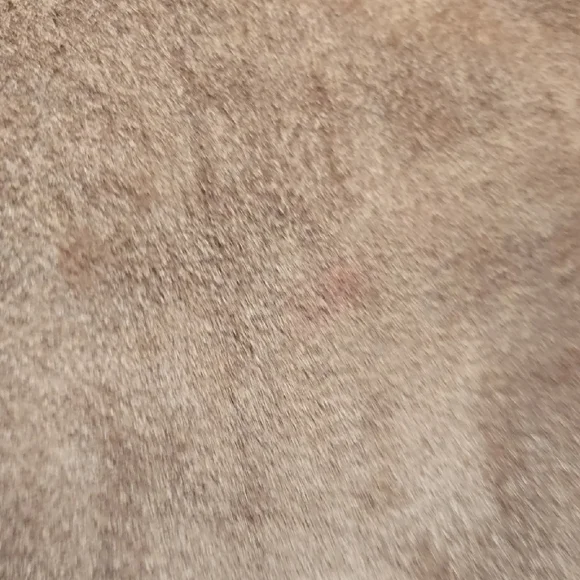 Jones Wear Suede Jacket - Picture 4 of 6